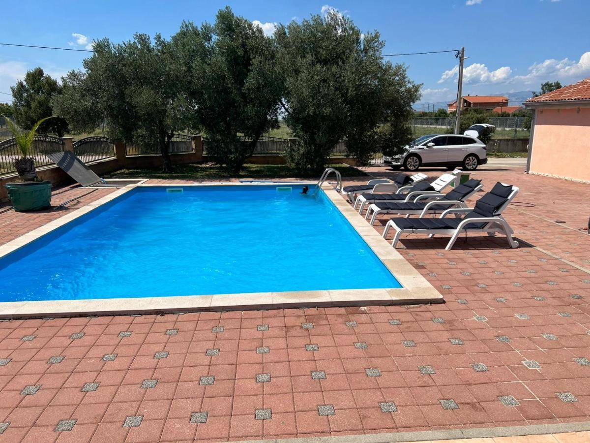 Villa Paludo Novigrad  Exterior photo