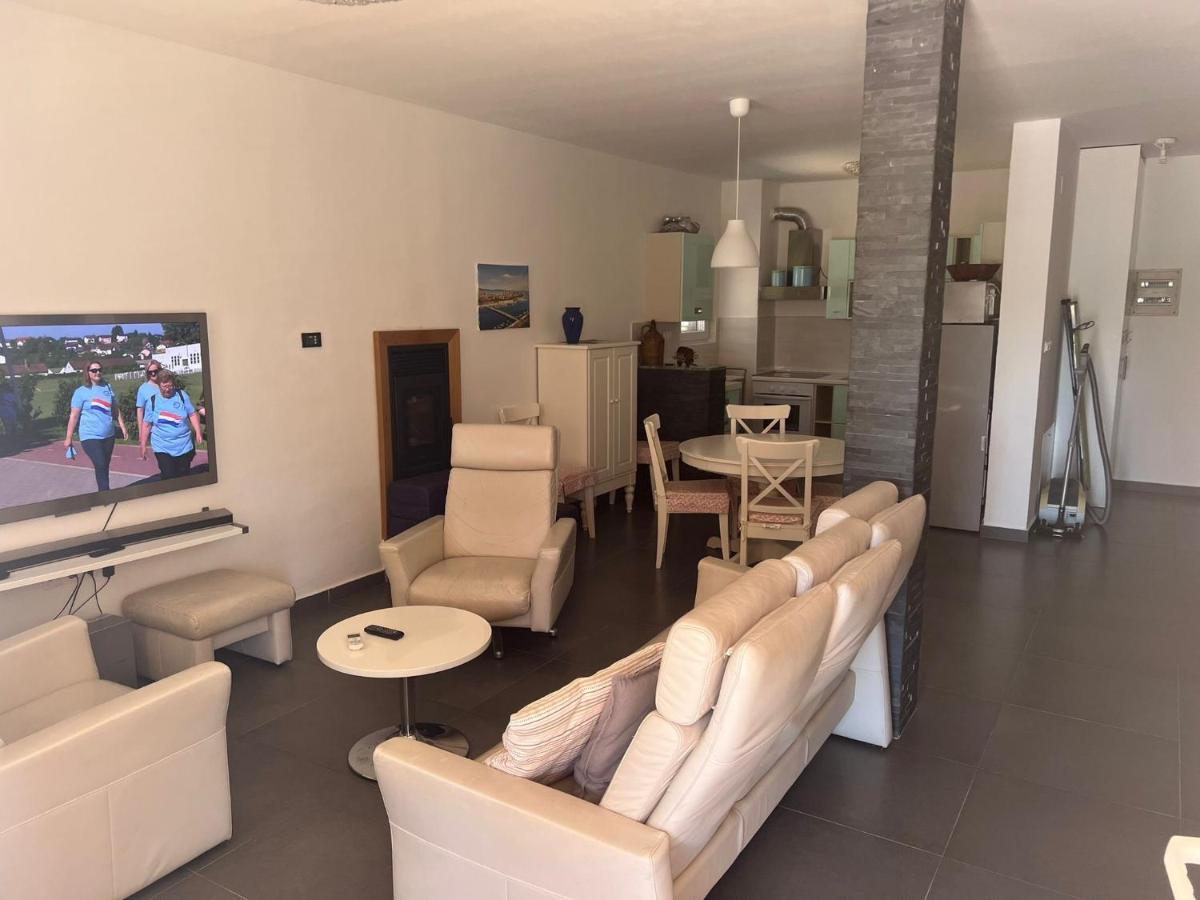 Villa Paludo Novigrad  Exterior photo