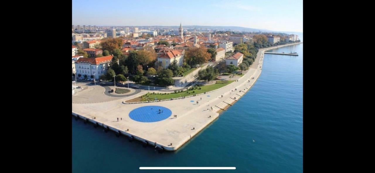 Villa Paludo Novigrad  Exterior photo